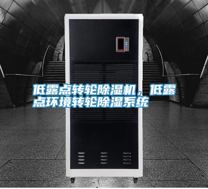 低露點轉(zhuǎn)輪除濕機，低露點環(huán)境轉(zhuǎn)輪除濕系統(tǒng)