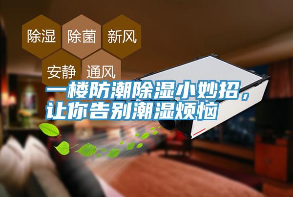 一樓防潮除濕小妙招，讓你告別潮濕煩惱