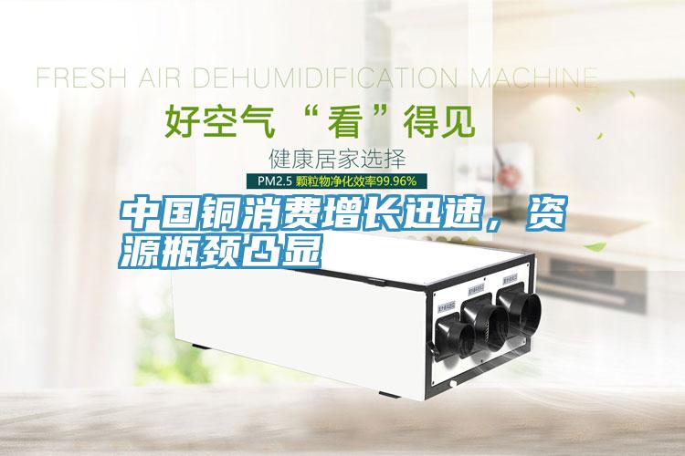 中國(guó)銅消費(fèi)增長(zhǎng)迅速，資源瓶頸凸顯