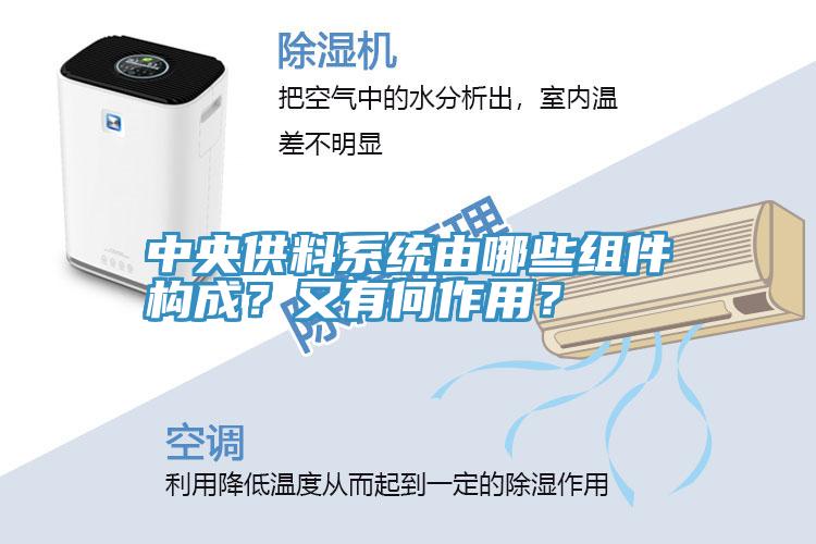中央供料系統(tǒng)由哪些組件構(gòu)成？又有何作用？
