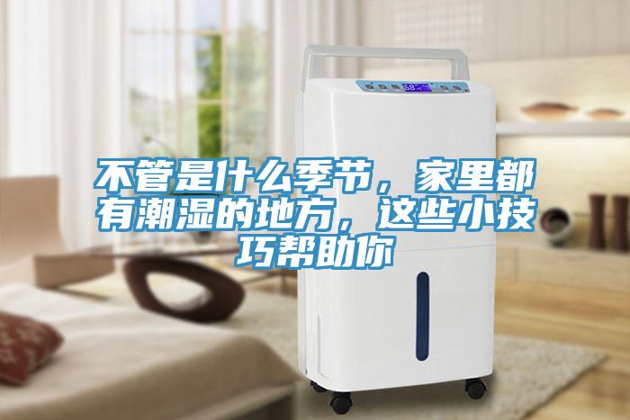 不管是什么季節(jié)，家里都有潮濕的地方，這些小技巧幫助你