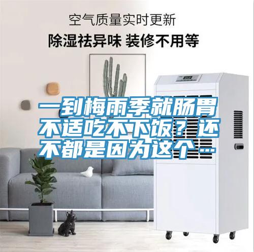 一到梅雨季就腸胃不適吃不下飯？還不都是因?yàn)檫@個(gè)…