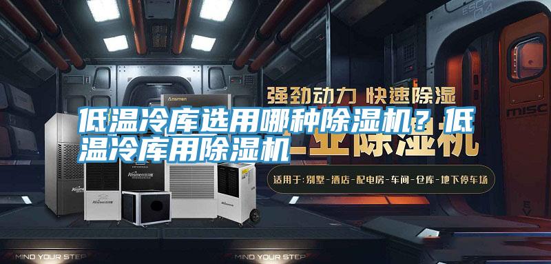 低溫冷庫選用哪種除濕機？低溫冷庫用除濕機