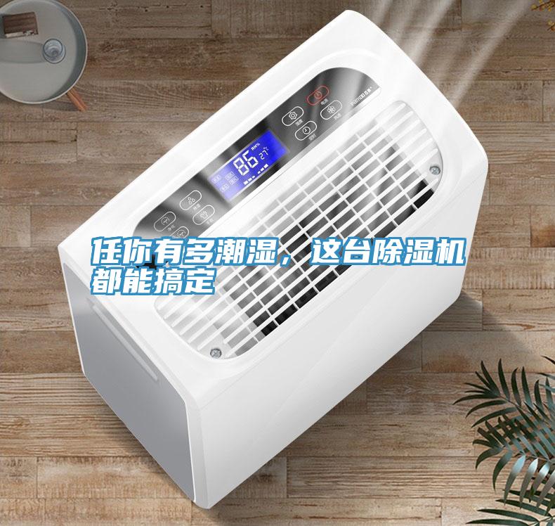 任你有多潮濕，這臺除濕機都能搞定
