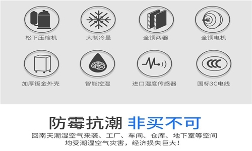 為什么房子潮濕會有危害？