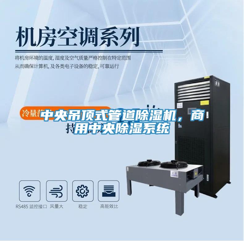 中央吊頂式管道除濕機(jī)，商用中央除濕系統(tǒng)