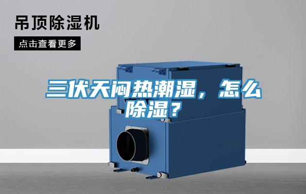 三伏天悶熱潮濕，怎么除濕？