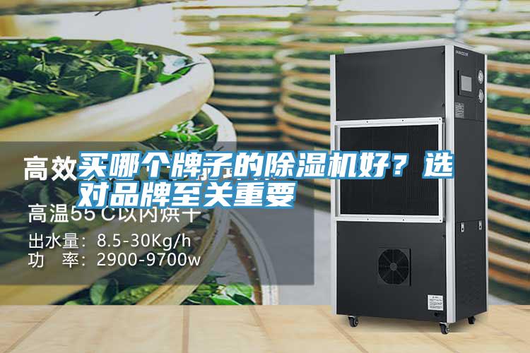 買哪個(gè)牌子的除濕機(jī)好？選對(duì)品牌至關(guān)重要