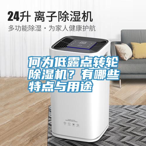 何為低露點(diǎn)轉(zhuǎn)輪除濕機(jī)？有哪些特點(diǎn)與用途