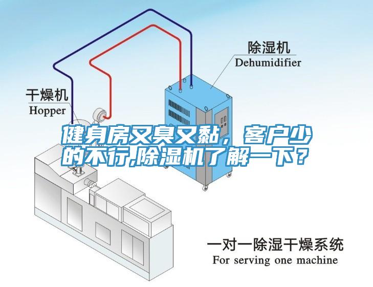 健身房又臭又黏，客戶少的不行,除濕機了解一下？