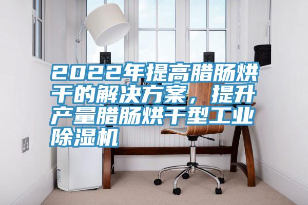 2022年提高臘腸烘干的解決方案，提升產(chǎn)量臘腸烘干型工業(yè)除濕機(jī)