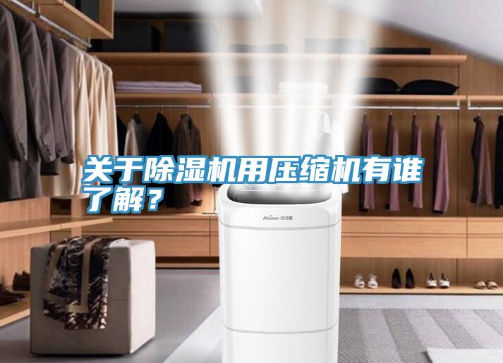 關于除濕機用壓縮機有誰了解？