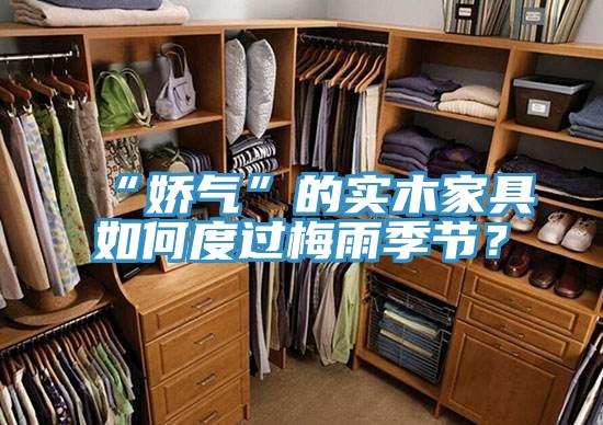 “嬌氣”的實(shí)木家具如何度過梅雨季節(jié)？