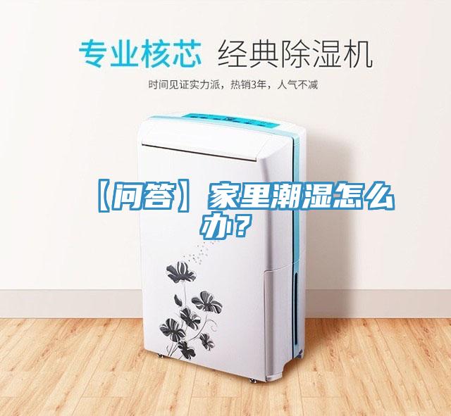 【問答】家里潮濕怎么辦？