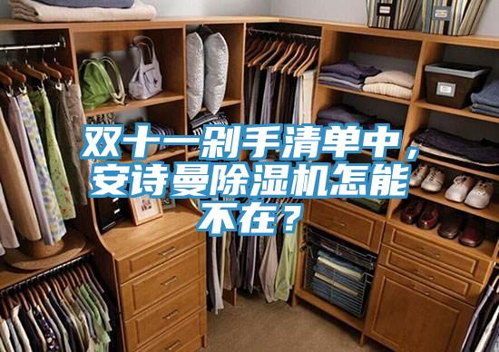 雙十一剁手清單中，安詩曼除濕機怎能不在？