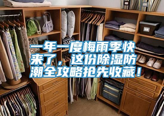 一年一度梅雨季快來了，這份除濕防潮全攻略搶先收藏！