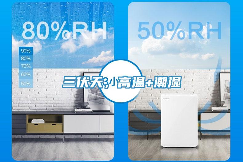 三伏天，高溫+潮濕