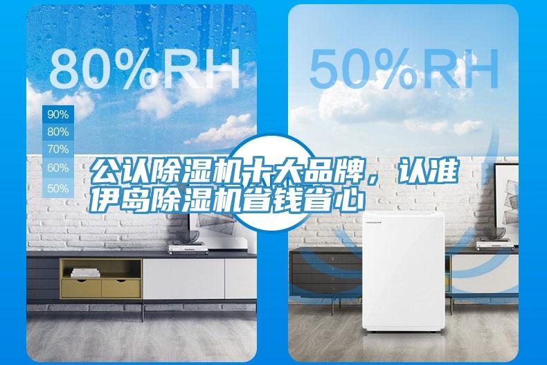 公認(rèn)除濕機(jī)十大品牌，認(rèn)準(zhǔn)伊島除濕機(jī)省錢省心