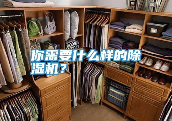 你需要什么樣的除濕機？
