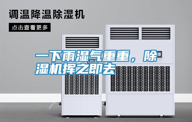 一下雨濕氣重重，除濕機揮之即去
