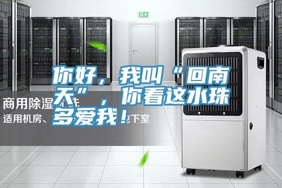 你好，我叫“回南天”，你看這水珠多愛我！