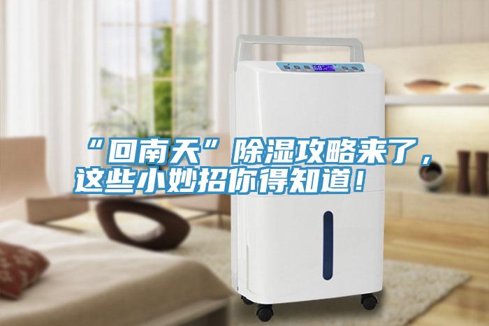 “回南天”除濕攻略來了，這些小妙招你得知道！