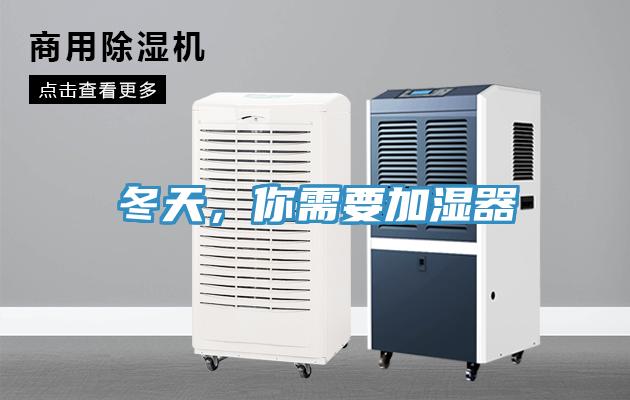 冬天，你需要加濕器