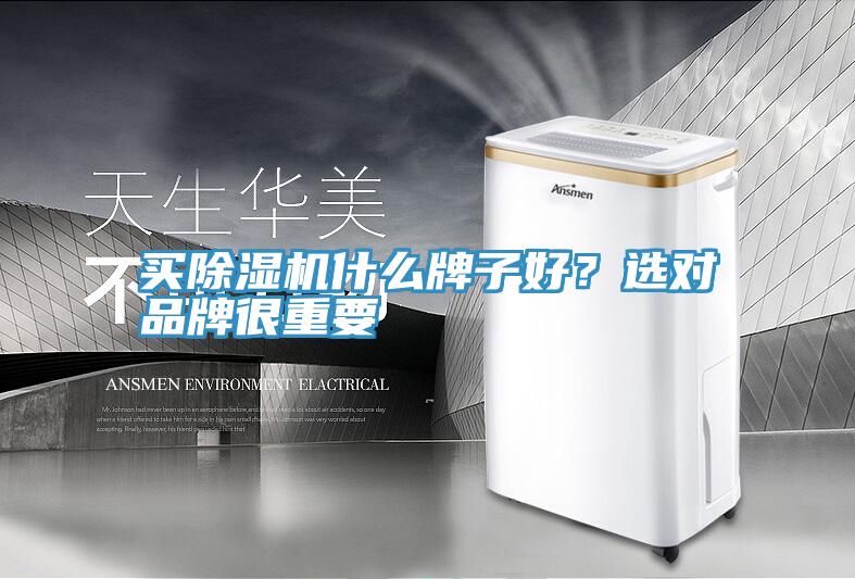 買(mǎi)除濕機(jī)什么牌子好？選對(duì)品牌很重要