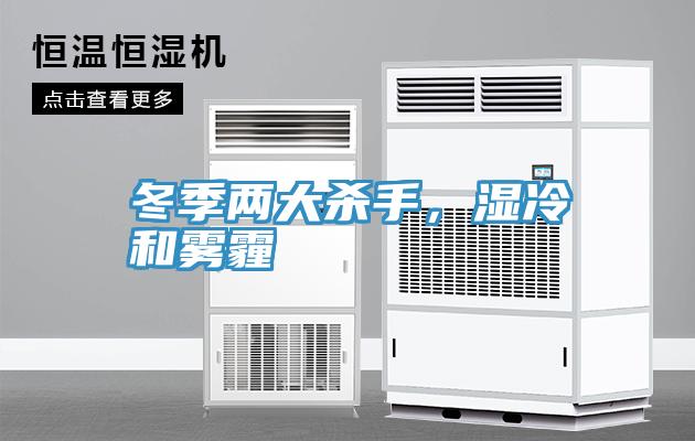 冬季兩大殺手，濕冷和霧霾
