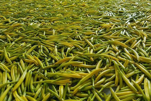無硫金針菜烘干如何保持品相？不發(fā)黑？_除濕機廠家