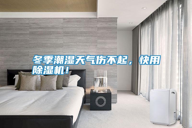 冬季潮濕天氣傷不起，快用除濕機(jī)！