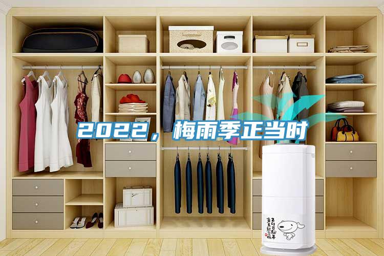 2022，梅雨季正當時