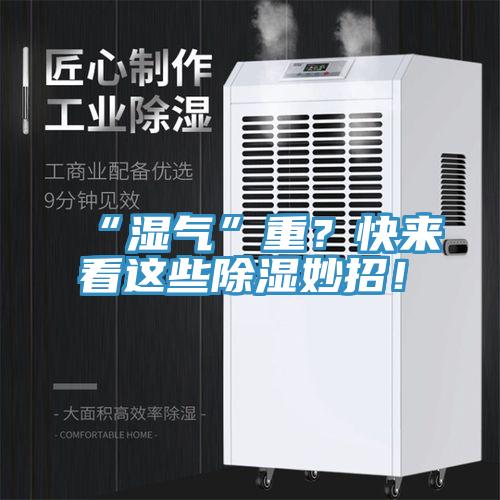 “濕氣”重？快來看這些除濕妙招！
