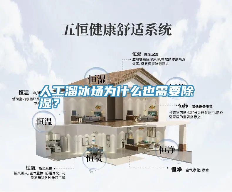 人工溜冰場為什么也需要除濕？