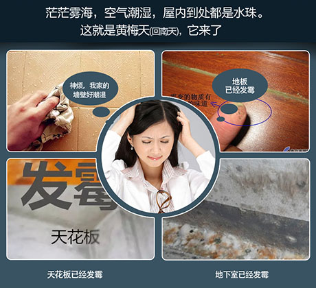 家庭別墅的地下室、衛(wèi)生間、儲(chǔ)物室等該如何除濕？
