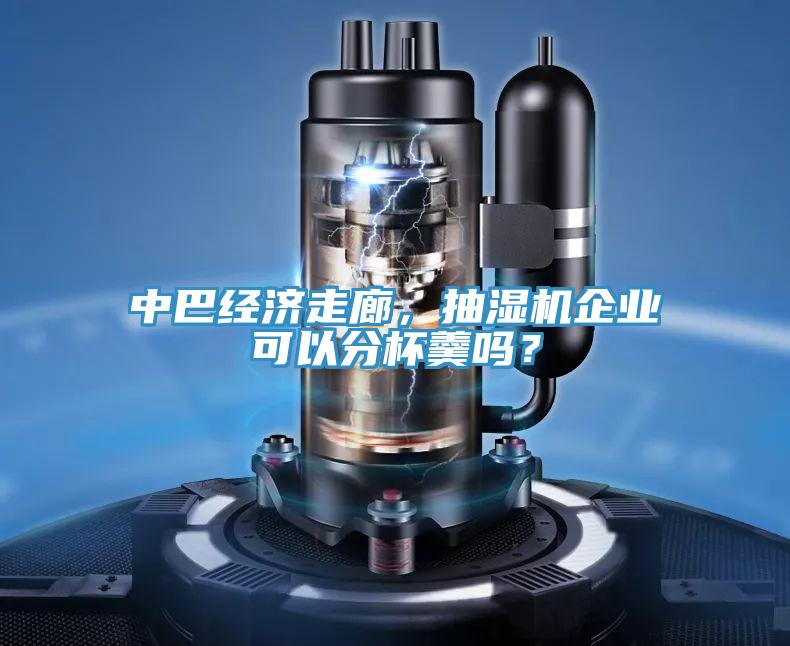 中巴經(jīng)濟走廊，抽濕機企業(yè)可以分杯羹嗎？