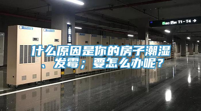 什么原因是你的房子潮濕、發(fā)霉；要怎么辦呢？
