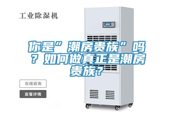 你是”潮房貴族”嗎？如何做真正是潮房貴族？