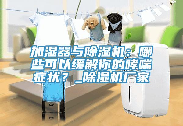 加濕器與除濕機(jī)：哪些可以緩解你的哮喘癥狀？_除濕機(jī)廠家