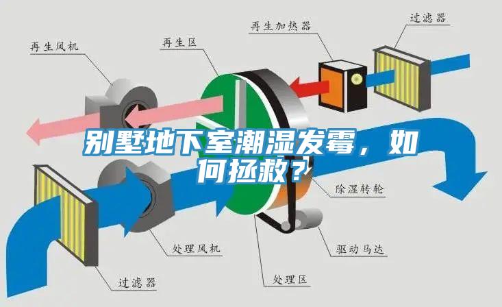 別墅地下室潮濕發(fā)霉，如何拯救？