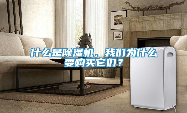 什么是除濕機(jī)，我們?yōu)槭裁匆徺I它們？