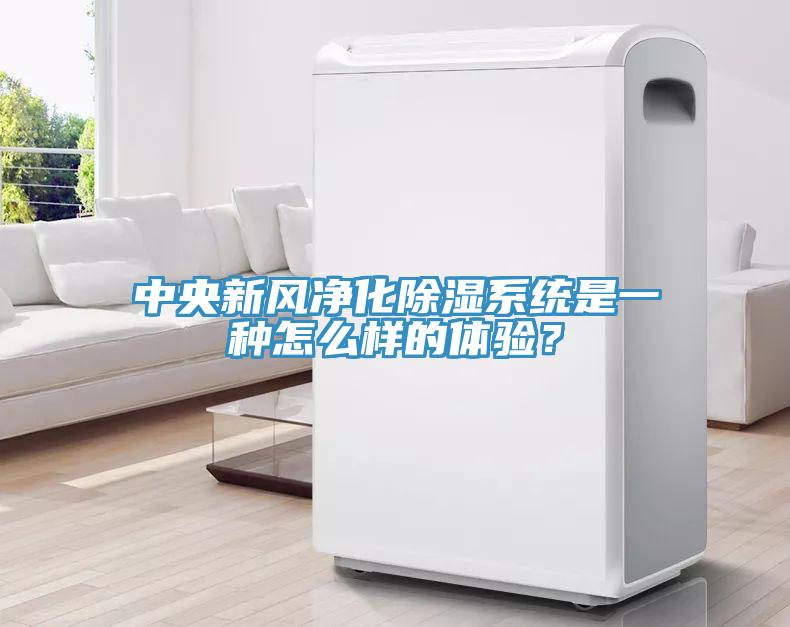 中央新風(fēng)凈化除濕系統(tǒng)是一種怎么樣的體驗？
