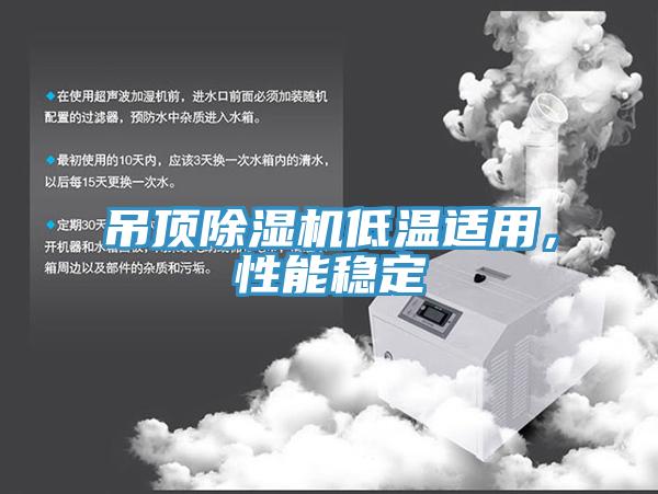 吊頂除濕機低溫適用，性能穩(wěn)定