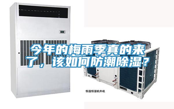 今年的梅雨季真的來了，該如何防潮除濕？
