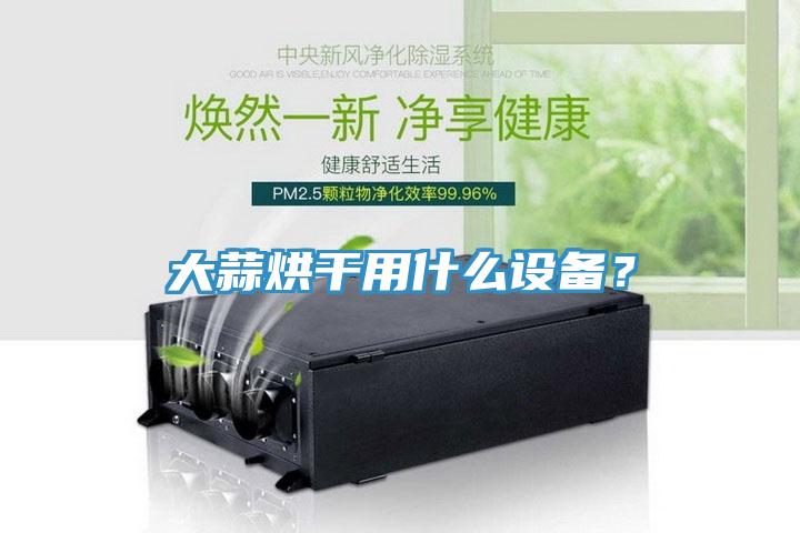 大蒜烘干用什么設(shè)備？