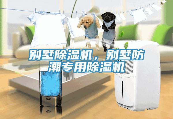 別墅除濕機，別墅防潮專用除濕機