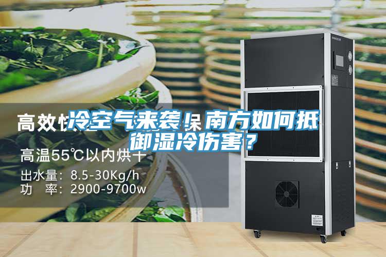 冷空氣來襲！南方如何抵御濕冷傷害？