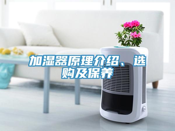 加濕器原理介紹、選購及保養(yǎng)