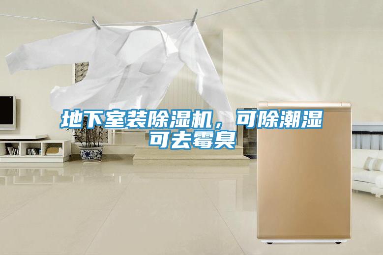 地下室裝除濕機，可除潮濕可去霉臭