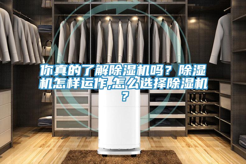 你真的了解除濕機(jī)嗎？除濕機(jī)怎樣運(yùn)作,怎么選擇除濕機(jī)？